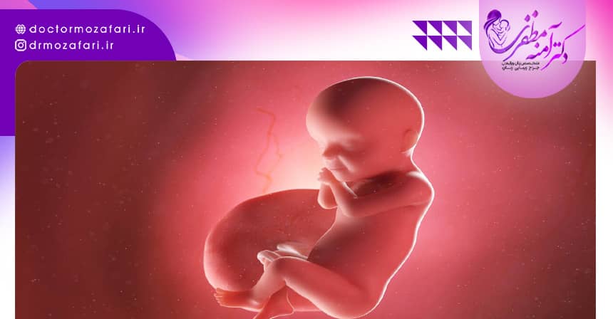 پایین بودن جفت