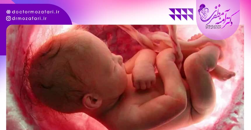 علائم پایین بودن جفت